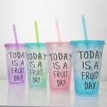 Insulated Innovative Printed 450ML / 650ML Double Wall Ice Straw Cup
